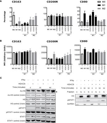 HDAC3 Mediates the Inflammatory Response and LPS Tolerance in Human Monocytes and Macrophages